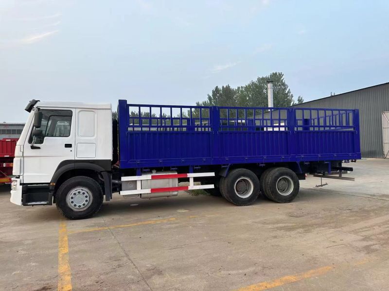 Howo 6x4 10 Wheels Fence Cargo Truck