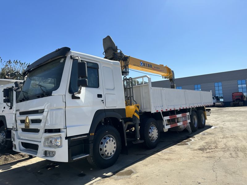 Camion Sinotruk Howo 8x4 avec grue