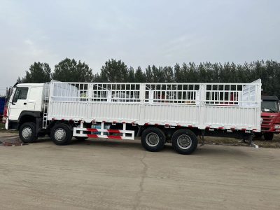 Camion de fret de clôture Sinotruk Howo 8x4